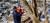18일 오전 가평군 명지산에서 김종무 경기도 산림환경연구소 도유림관리팀장(왼쪽)과 이상기 가평군고로쇠연합회장(오른쪽)이 고로쇠 나무에 수액 채취를 위해 드릴로 구멍을 뚫고 있다. 가평군고로쇠연합회