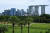 지난해 7월 싱가포르의 가든스 바이 베이를 배경으로 촬영한 사진에 도시 스카이라인이 드러나 있다. 녹지 공간은 스트레스.불안.우울증 감소, 주의력.집중력 향상 등 건강과 웰빙을 도움이 되는 것으로 보고되고 있다. AFP=연합뉴스