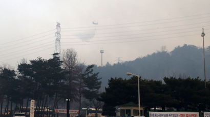 원안위 “울진 산불 원전 부지 인근서 진화, 한울 원전 이상 없다”