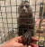 폴란드 포즈난 동물원으로 구출된 원숭이. [트위터 캡처, 포즈난동물원]