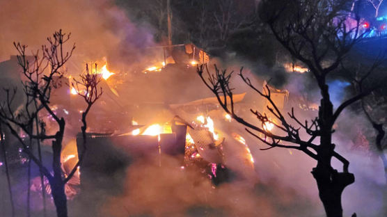 "주민들이 무시해" 홧김에 토치로 산불, 그 불에 모친도 사망 