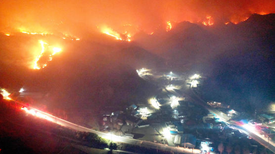 [이 시각]울진·강원 산불 '국가 재난사태'선포... 강릉 옥계 산불은 방화범이 토치로 불질러