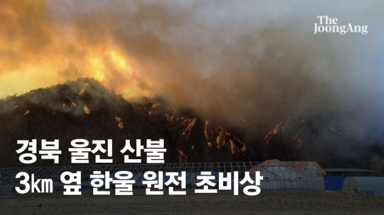 文대통령 “산불 피해 지역, 특별재난지역 선포 검토”