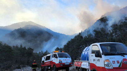 울진·삼척 산불에 떠는 통신3사…비상근무·피해지원 나섰다