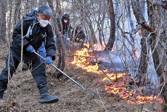 6일 오전 강원 삼척시 원덕읍에서 산불이 계속되는 가운데 산양리2리에서 공무원들이 진화작업을 벌이고 있다. 연합뉴스