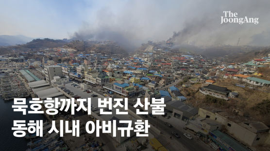 동해안 산불 피해 축구장 3000개 규모(2265㏊)…역대급