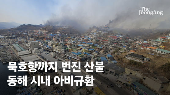 산림청장 "오늘 모든 불 진압 어려워…큰불 잡는데 최선"