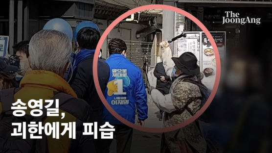 [이 시각] 뒤에서 둔기로…송영길 민주당 대표 유튜버에 피습