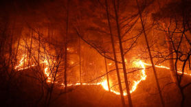 지구촌 산불, 15년새 남한 면적 42배 숲 태웠다…기후변화의 저주