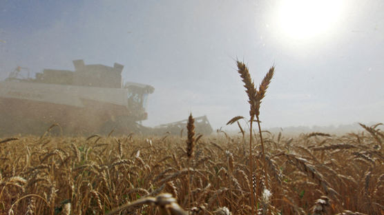 우크라 농민이 총 들자 밀값 폭등…전세계 밥상이 위험하다