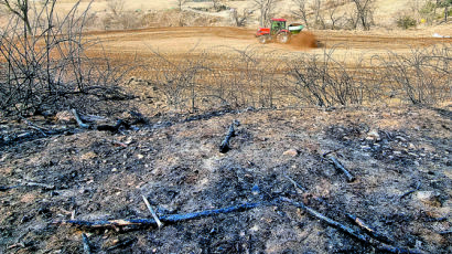 [한 컷] 산불 피해에도 분주한 농민