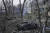 러시아군의 폭격으로 크게 파괴된 우크라이나 마리우폴의 산부인과 병원. AP=연합뉴스