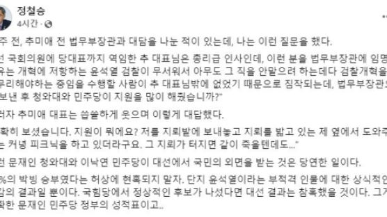 秋 "날 지뢰밭 보내놓고, 靑·민주당 피크닉"···정철승, 대화 공개