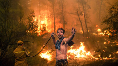산불에 '남한 42배' 숲 불탔다…이런 취약지역 29% 증가 이유 