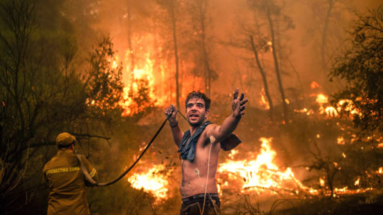 산불에 '남한 42배' 숲 불탔다…이런 취약지역 29% 증가 이유 