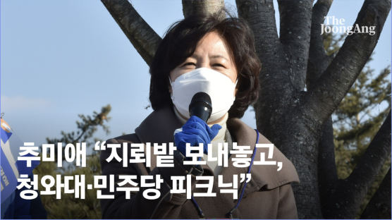 秋 "날 지뢰밭 보내놓고, 靑·민주당 피크닉"···정철승, 대화 공개