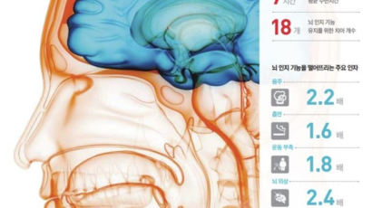 외상만큼 치명적, 치매 부르는 이 습관…뇌 젊게하는 6가지 [건강한 가족] 