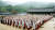 봉암사 결사 60주년 때 조계종 스님들이 봉암사 경내에서 법회를 열고 있다. [중앙포토]