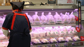닭고기 담합 과징금 처분에 육계협회 "애꿎은 사업자만 잡는다"