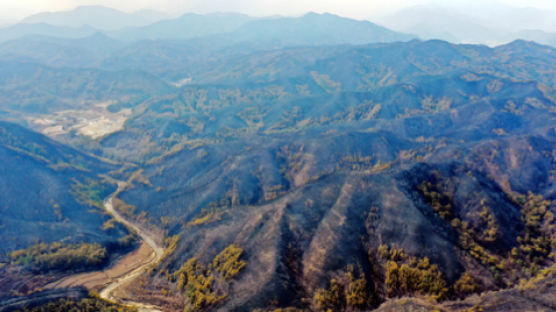 울진 산불 피해 규모 1300억원 잠정 집계…조사 완료하면 피해규모 더 커져 