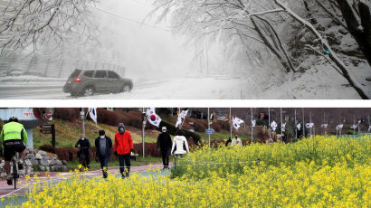 [포토타임]강원도는 눈, 남쪽은 꽃 천지...같은 땅 두 계절