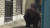 대구의 한 여고 앞에 '희생 종 모집' 현수막을 게시해 논란을 빚은 A씨. [사진 SBS캡처]