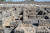 갈릴히 호수 북쪽에 있는 가버나움의 유적지. 예수는 이 일대에 머물며 설교를 다녔다고 한다. [중앙포토]