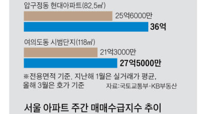 "압구정 신현대 58억에 팔뻔"...서울 집주인 변심 부른 尹공약
