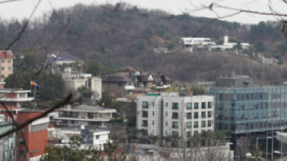 대통령 거주할 한남동, 100억 짜리 연립 등 고가주택 즐비