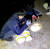 21일 오전 경북 포항시 남구 호미곶면 한 폐양식장에 갇힌 고양이 사체를 동물보호단체인 '동물권행동 카라' 활동가가 확인하고 수습하고 있다. 사진 동물권행동 카라