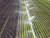 지난 1월 미국 애리조나 주 유마 인근 길라 계곡의 들판 상추밭에 설치된 스프링클러가 물을 뿜고 있다. [AP=연합뉴스]