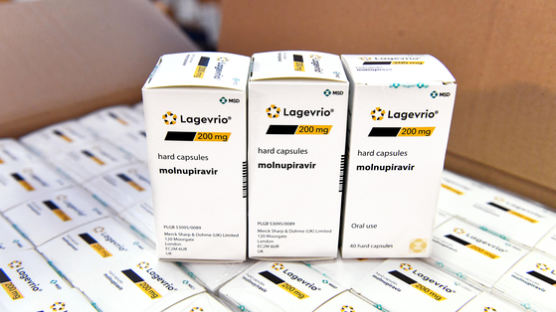 [속보] 먹는치료제 라게브리오, 2만명분 우선 도입…26일 공급