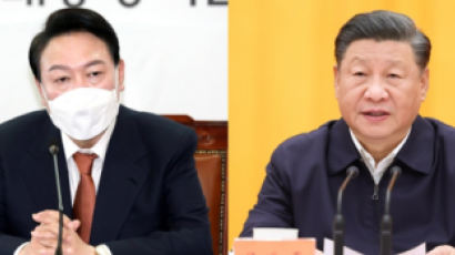 [속보] 尹-시진핑 25분 통화 "北 완전 비핵화 위해 긴밀협력"