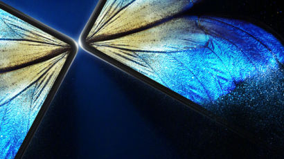 중국 비보도 ‘나비 날갯짓’ 시작…올해 폴더블폰 1400만 대 예상