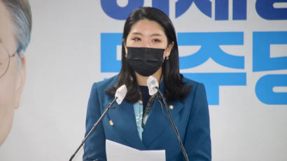 민주당 "성비위·가정폭력·음주운전·부동산 투기엔 '공천 배제'"