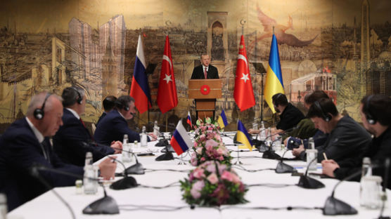 러 "우크라 협상 문서화 시작은 긍정적...크림반도는 우리 영토"