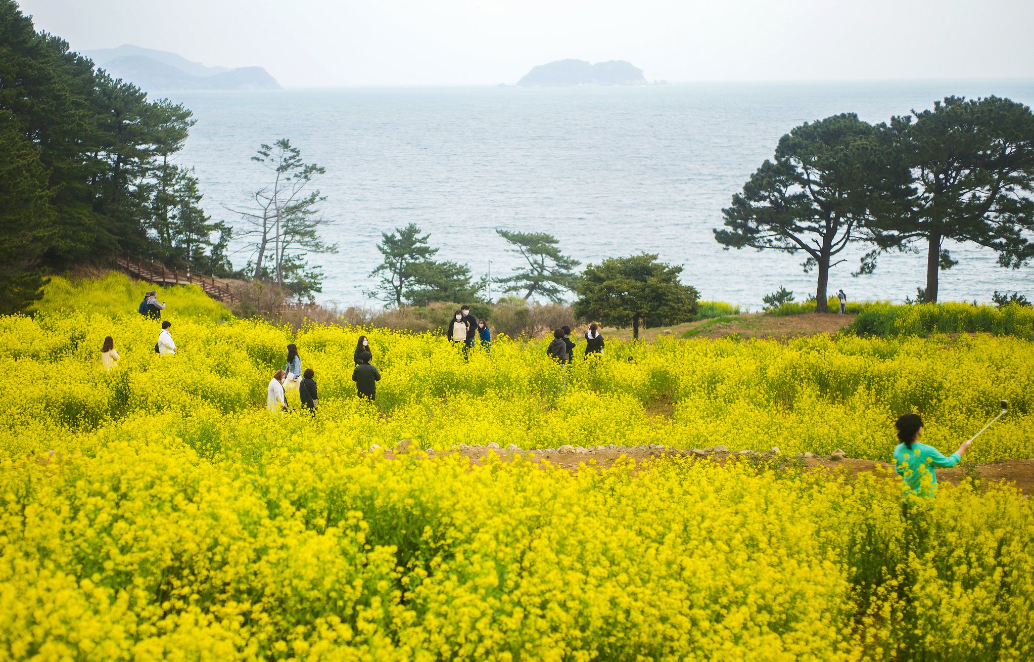 연합뉴스