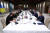 러시아 평화협상 대표단(오른족)과 우크라이나 대표단이 지난달 29일(현지시간) 터키 이스탄불의 돌마바흐체 궁전에서 협상 테이블을 사이에 놓고 마주 앉아 있다. [연합뉴스]
