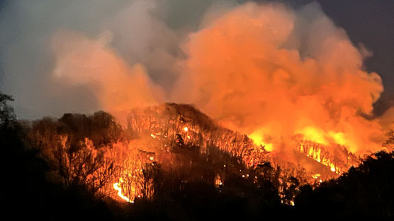 [속보] 경기 하남 위례신도시 청량산 불…1500평 태우고 확산