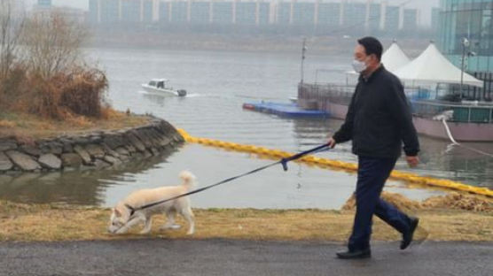 尹반려견 '토리 우표' 발행 검토…"김건희 여사 아이디어 반영"