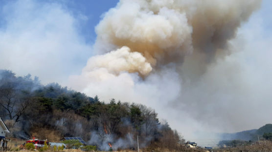 [속보]산림청, 경북 봉화 산불에 '산불 3단계'로 격상