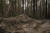 우크라이나의 부차 인근 모티딘시의 한 숲에서 발견된 민간인 매장 무덤. 이곳에서 모티딘시 시장 일가족이 시신으로 발견됐다. [AP=연합뉴스]
