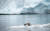 물개 한 마리가 캐나다 뉴펀들랜드의 킹스 포인트 인근 빙산에 앉아 있다. 2019년 7월 촬영. 북극은 지구 전체보다 3배나 빨리 기온이 오르고 있다. AFP=연합뉴스