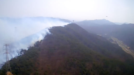 충남 서산 산불 확산, ‘산불 2단계’ 발령…주민 60여명 긴급대피