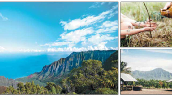 [라이프 트렌드&] 지속가능한 하와이를 위하여! '하와이와 함께'하는 여행에 초대합니다