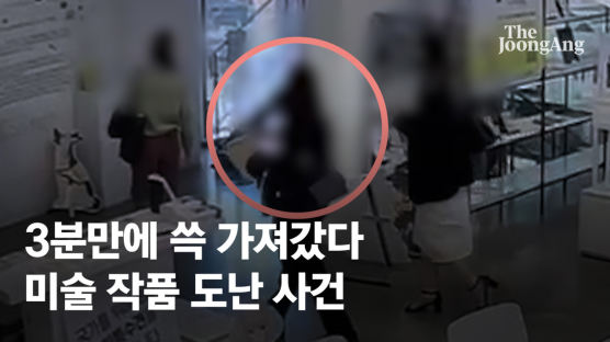 [단독]3분만에 쓱 가져갔다…CCTV 찍힌 미술 작품 도난 사건 [영상]