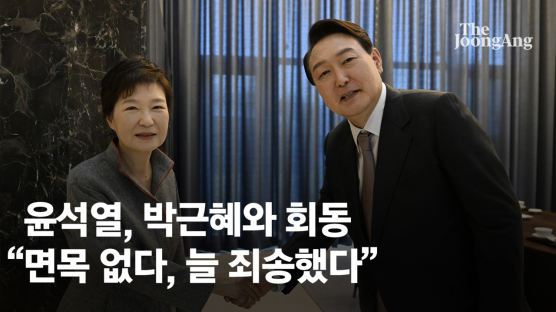 尹, 박근혜와 50분 회동 "면목이 없다, 늘 죄송했다"