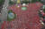 2002년 당시 시청 앞 광장을 붉게 물들인 시민들의 거리 응원. [중앙포토]