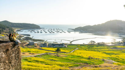 바다 위 노랑 물결, 봄날의 낭만 섬