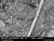 다이슨 글로벌 먼지 연구에서 채치된 집먼지를 다이슨 현미경으로 관찰한 모습. [사진 다이슨] 